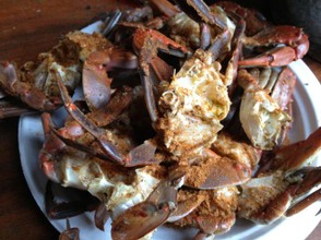 What the Jersey shore does best: crabs!