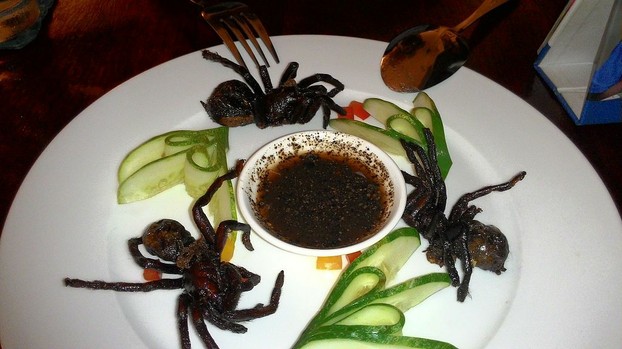 fried tarantula in Cambodian restaurant