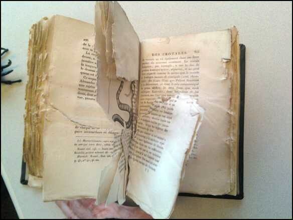 damaged book