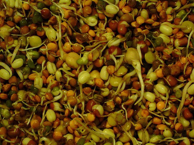 Mixed Bean Sprouts