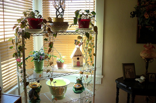 plant stand in living room