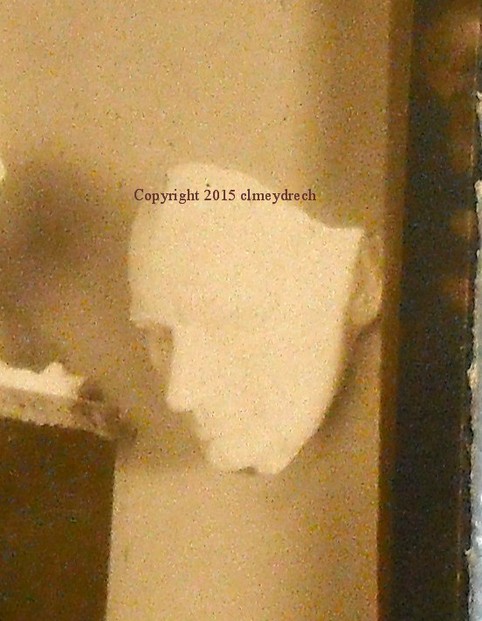 Close-up of Death Mask in Photo to Above