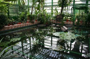 15. Lotus pond