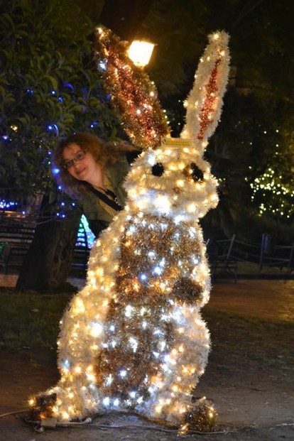Salerno rabbit lights