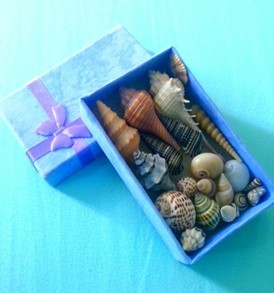 Shell Gift Box