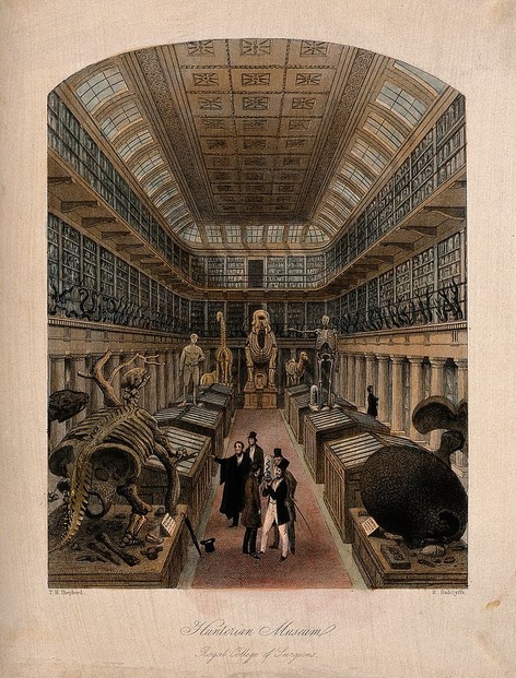 "Hunterian Museum: Royal College of Surgeons," London Interiors: A Grand National Exhibition (1841), vol. I: 129-132; opp. p. 129