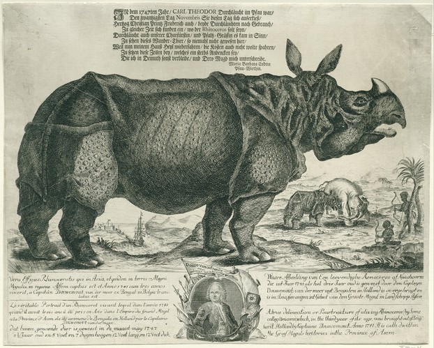 "De neushoorn Clara, komt dat zien!" ("Clara the rhinoceros, come and see!"), object no. RP-P-OB-75.362; Rijksmuseum, Amsterdam