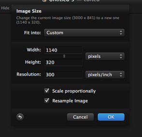 Re-set the pixels to size the image after cropping