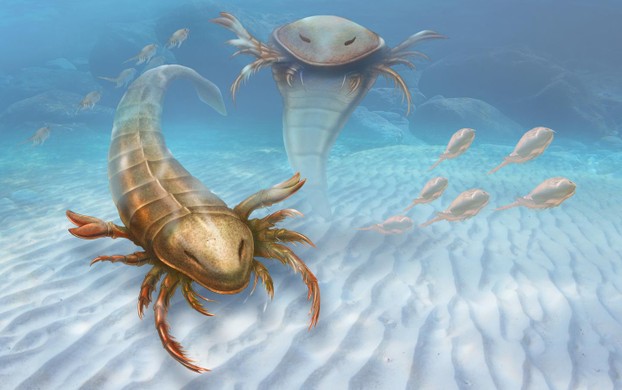 artist's impression of Pentecopterus by Patrick James Lynch, Yale University Office of Public Affairs & Communications