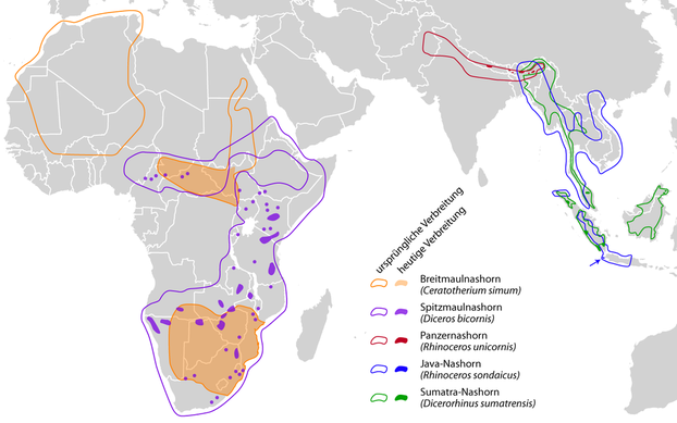 Blank World Map, Canuckguy; Indian rhino, Christophe cagé; Javan + Sumatran Rhinos, JayHenry; derivative work, NordNordWest