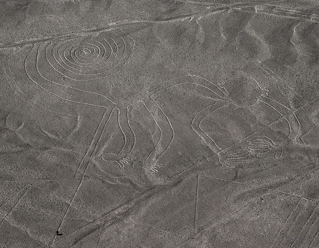 Nazca Lines - Monkey