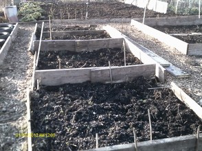 Beds for salad crops
