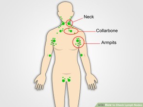 Sites to check for enlarged lymph nodes