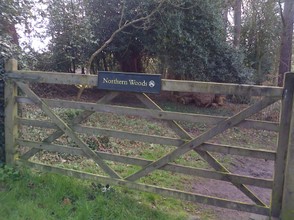 Northern woods gateway.