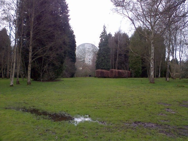 The dish at the end of an avenue of trees