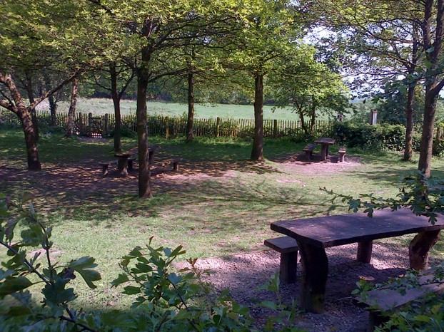 Picnic areas for your own food