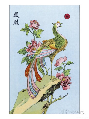 Fong Hoang, The Chinese Phoenix