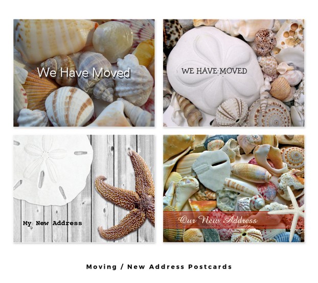 Seashell & Seashore New Address Postcards