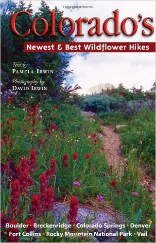 Colorado's Newest and Best Wildflower Hikes