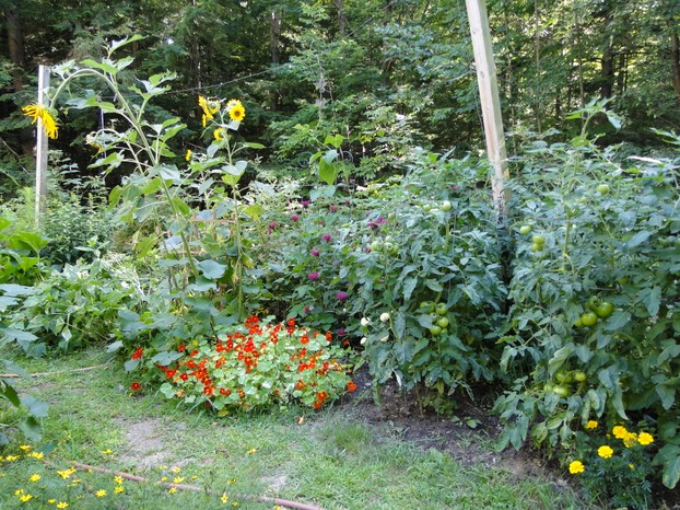 Summer Garden in New Hampshire