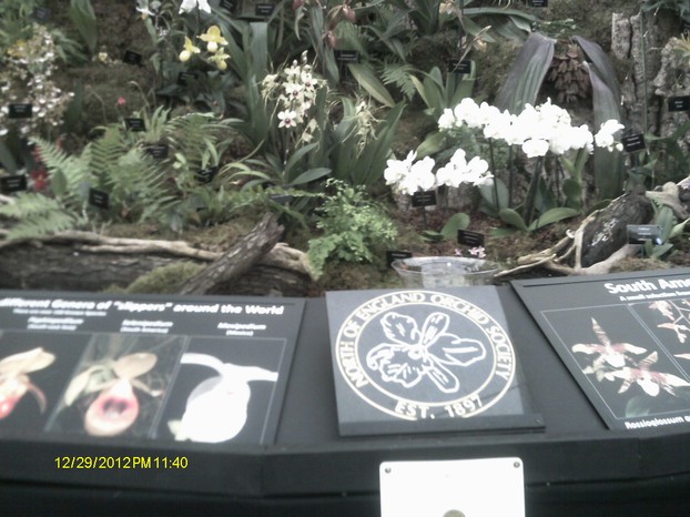 North West England Orchid Society