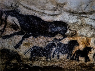 20,000 Year Old Lascaux Cave Painting Done by Cro-Magnon Man in the Dordogne Region, France by Ralph Morse