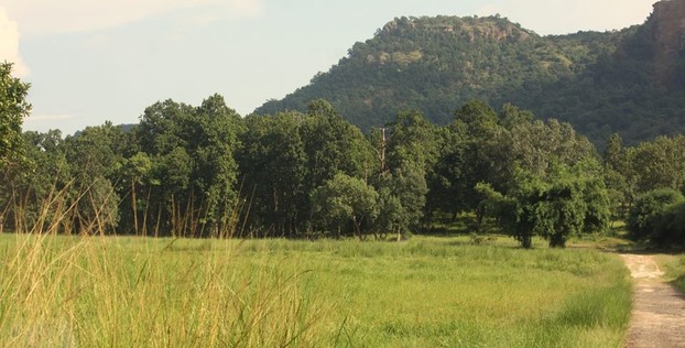 Landscape Banhavgarh