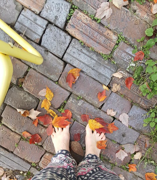 Barefoot Grounding