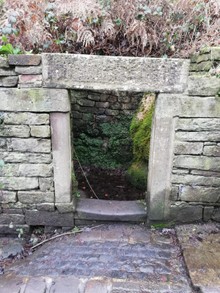 Old Celtic " St Chad's " Well