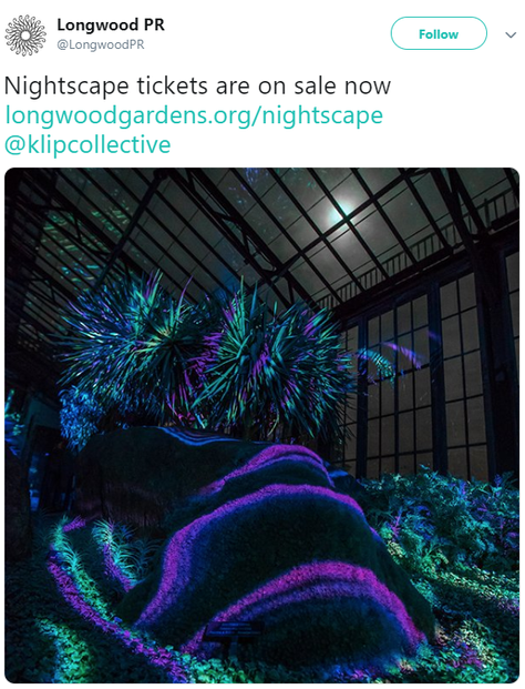 Longwood Gardens' Nightscape: A Light and Sound Experience premiered July 1, 2015, and on view through Oct. 31, 2015.