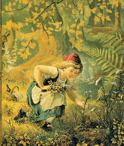 red-riding-hood-picking-flowers
