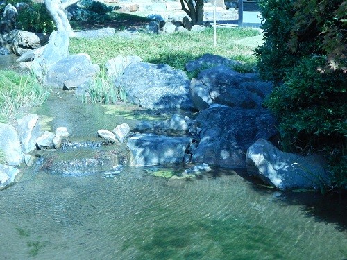 Japanese Garden Water