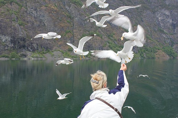 Woman feeding seagulls
