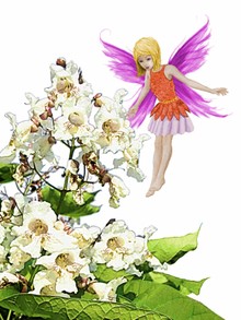 Catalpa Tree Fairy beside Flowers