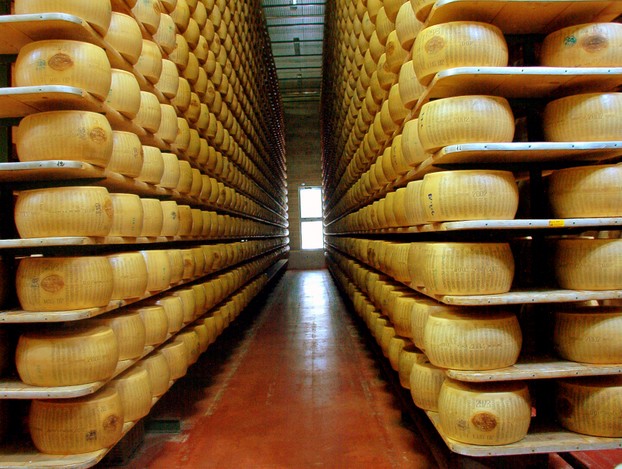 wheels of Parmigiano-Reggiano cheese in factory, Modena