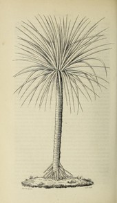 C. Lemaire, Le jardin fleuriste, vol. 2 (1852), Planche 124