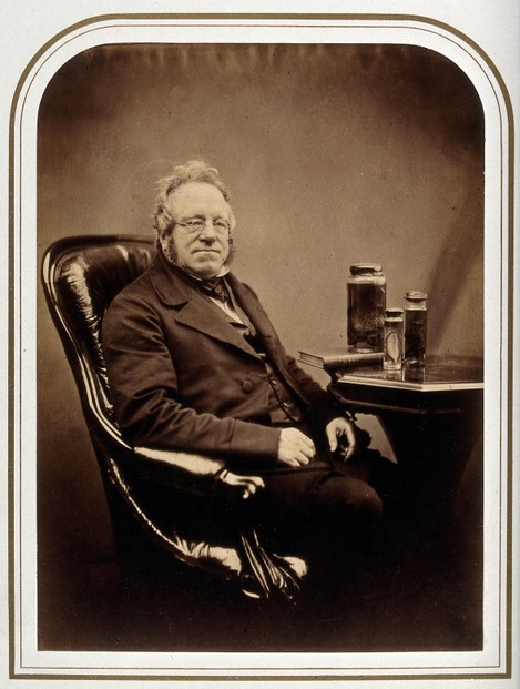 1855 albumen print portrait of John Edward Gray; photograph attributed to Maull & Polyblank