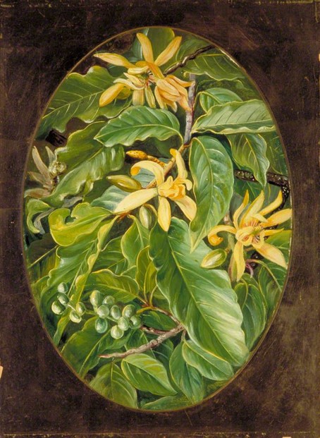 Marianne North Gallery, Royal Botanic Gardens, Kew; Photo credit The Board of Trustees of the Royal Botanic Gardens, Kew