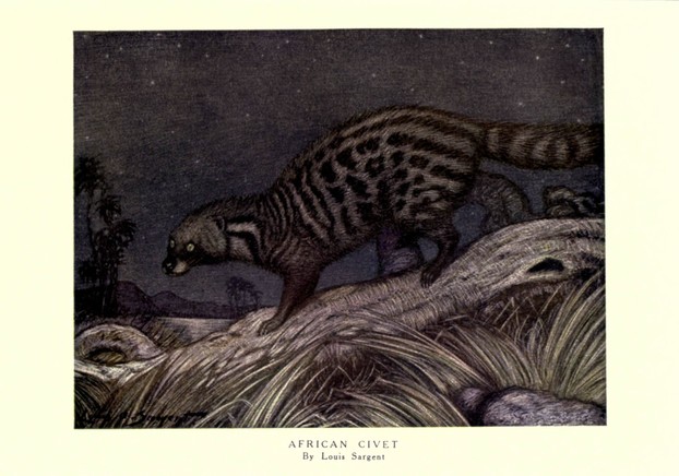 Frank Finn, The Wild Beasts of the World, vol. one (1909), opp. p. 88