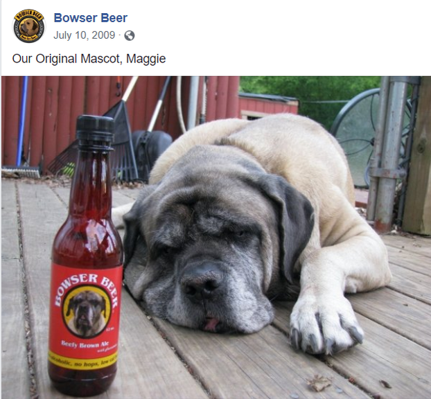 Maggie the English Mastiff, face of Bowser Beer's Beefy Brown Ale