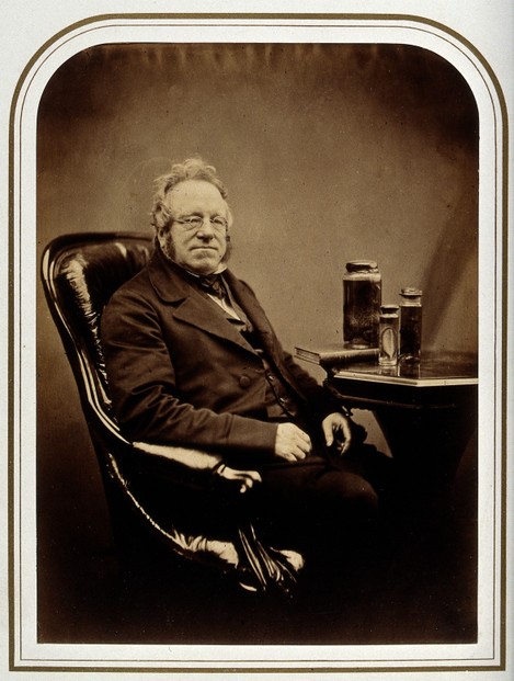 1855 albumen print portrait of John Edward Gray; photograph attributed to Maull & Polyblank