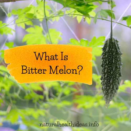 What Is Bitter Melon