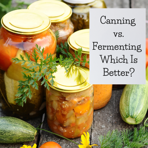 Canning vs. Fermenting Food - Which Is Better?