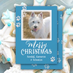Blue Christmas Paw Prints Pet's Photo Card