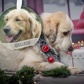 Dog Photo Custom Acrylic Christmas Ornament