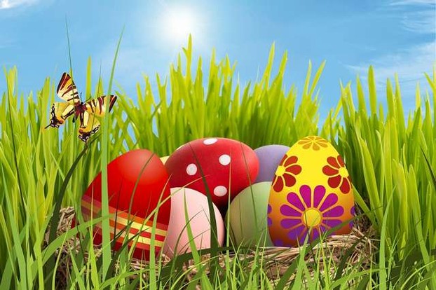 Easter eggs and butterfly