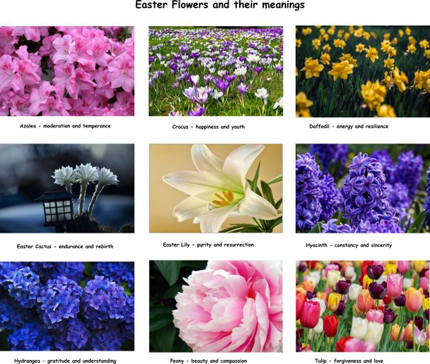 Symbolism of Easter flowers