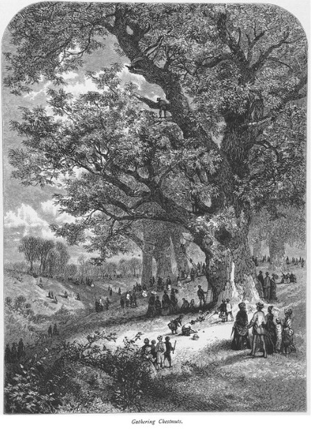 "Gathering Chesnuts," The Art Journal, new series, vol. 4, issue 37 (1878), page 2
