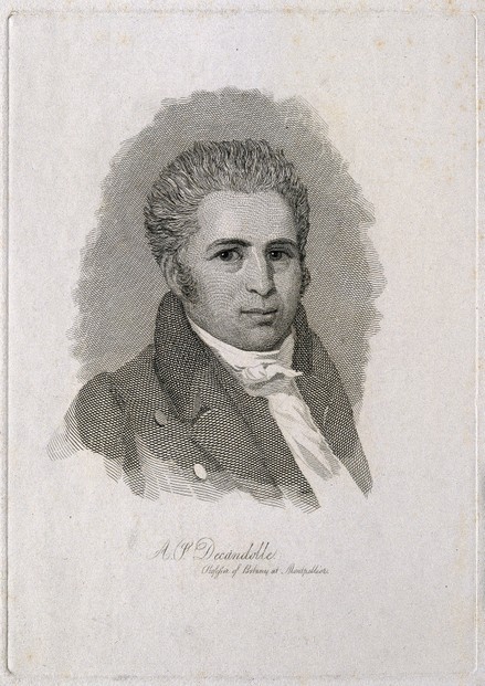 Appointed Botany Professor at Montpelier in 1807, de Candolle became the University's first chair of botany in 1810.