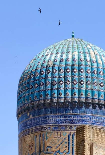 Bibi Khanun Mosque/Alpine Swifts, Samarkand